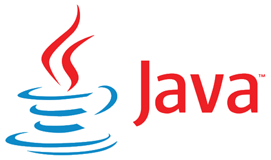 Professional software engineers