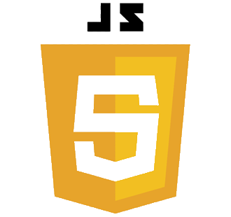 Professional software engineers