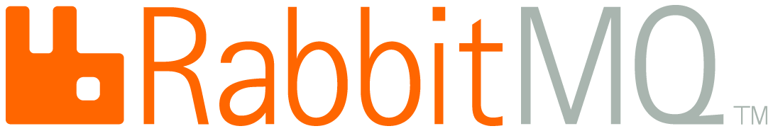 Professional software engineers