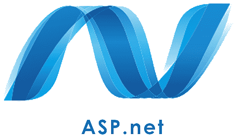 Professional software engineers