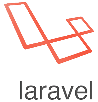 Professional software engineers