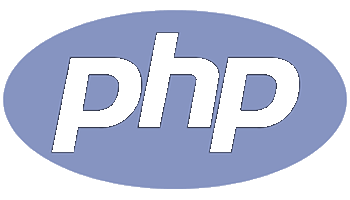 Professional software engineers