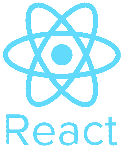 Professional software engineers