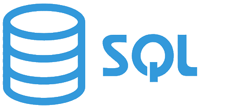 Professional software engineers