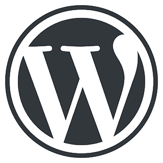 Professional software engineers